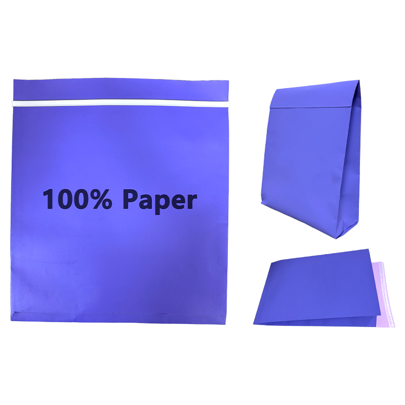 زیل ایکس نے اعلی صلاحیت کی پائیدار شپنگ کے لیے سائیڈ گسیٹڈ ری سائیکل شدہ پیپر بیگ لانچ کیا